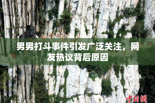 男男打斗事件引发广泛关注，网友热议背后原因