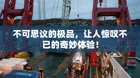 不可思议的极品，让人惊叹不已的奇妙体验！