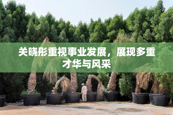 关晓彤重视事业发展，展现多重才华与风采