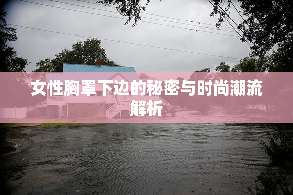 女性胸罩下边的秘密与时尚潮流解析