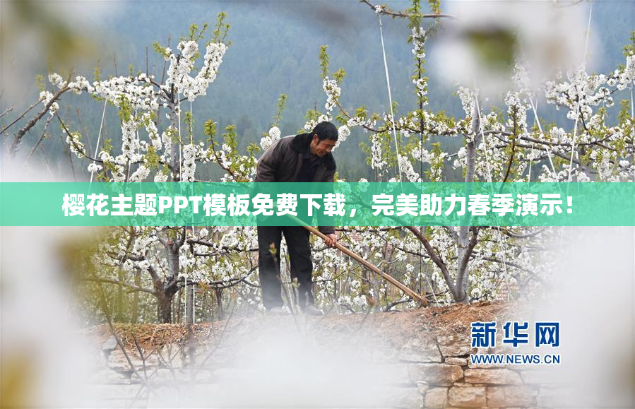 樱花主题PPT模板免费下载，完美助力春季演示！