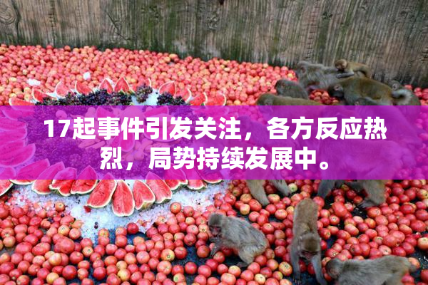 17起事件引发关注，各方反应热烈，局势持续发展中。