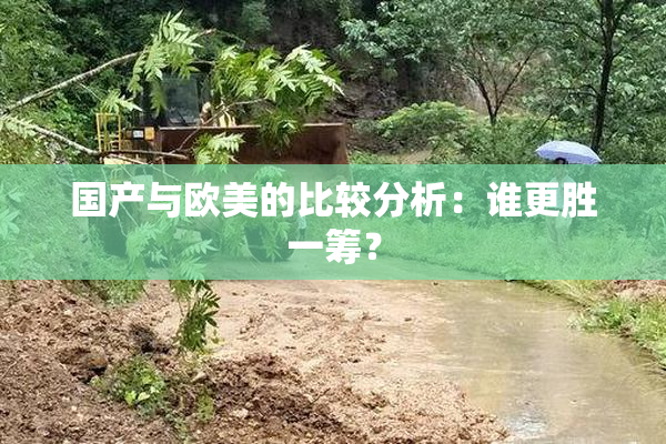 国产与欧美的比较分析：谁更胜一筹？