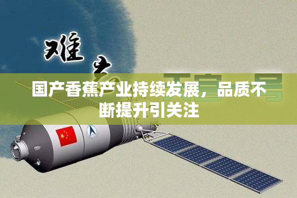 国产香蕉产业持续发展，品质不断提升引关注