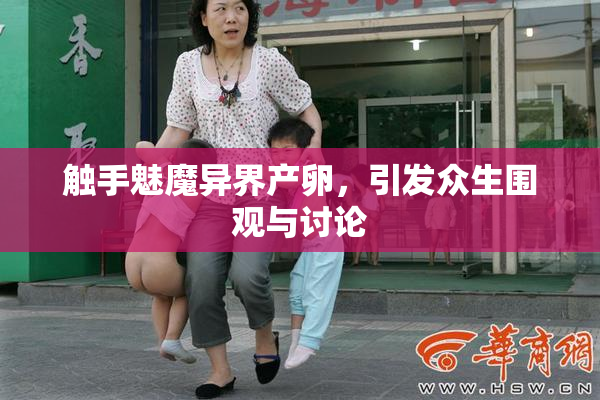触手魅魔异界产卵，引发众生围观与讨论
