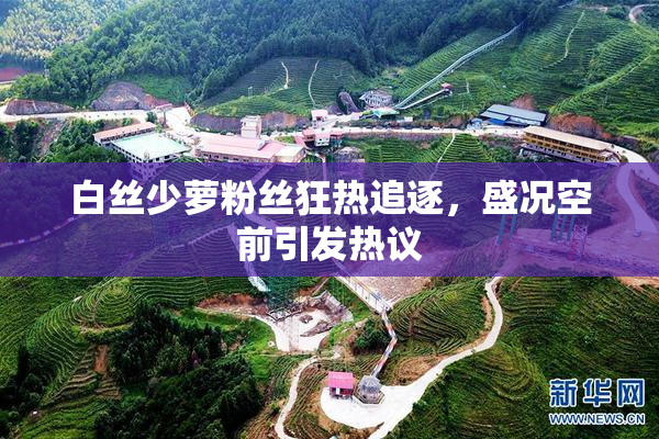 白丝少萝粉丝狂热追逐，盛况空前引发热议