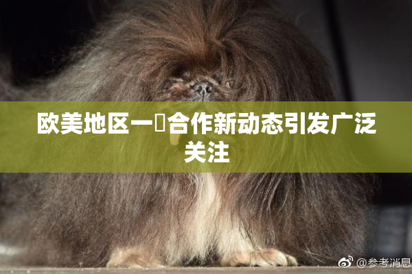 欧美地区一級合作新动态引发广泛关注