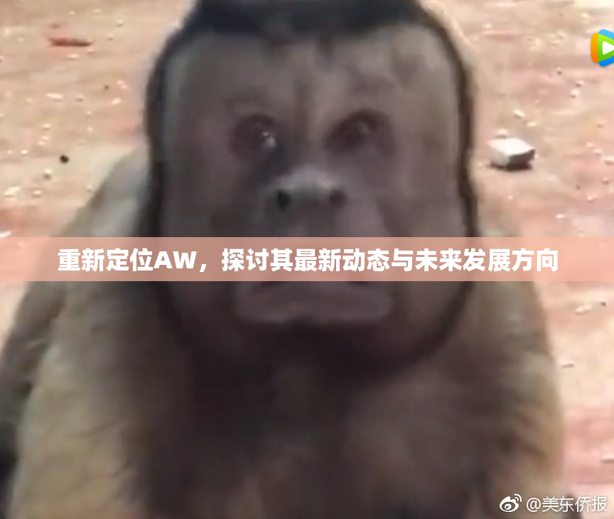 重新定位AW，探讨其最新动态与未来发展方向
