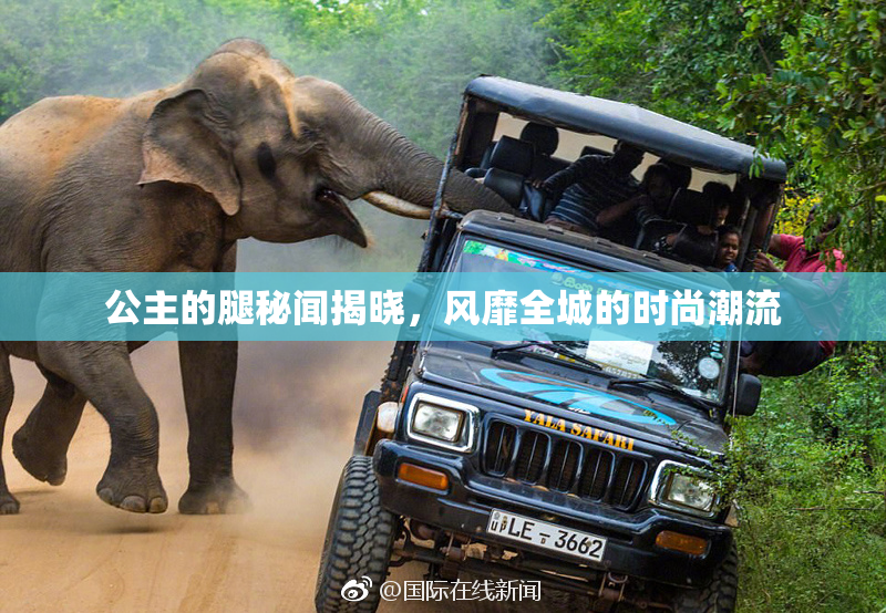 公主的腿秘闻揭晓，风靡全城的时尚潮流