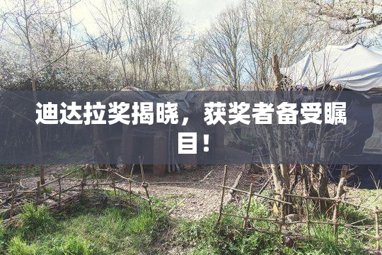 迪达拉奖揭晓，获奖者备受瞩目！