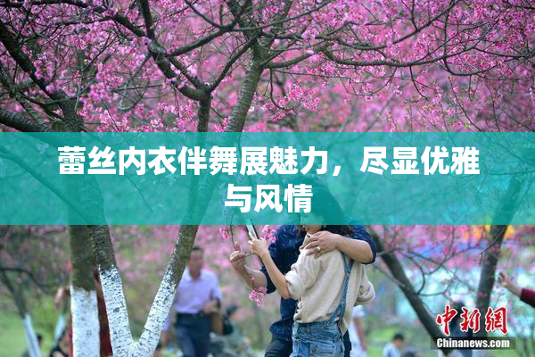 蕾丝内衣伴舞展魅力，尽显优雅与风情