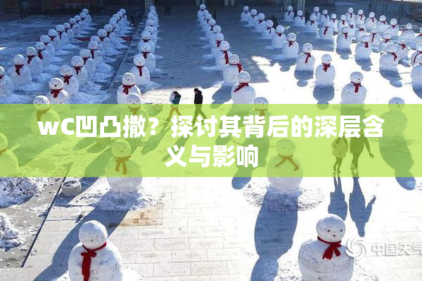 wC凹凸撒？探讨其背后的深层含义与影响