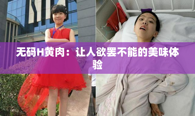 无码H黄肉：让人欲罢不能的美味体验