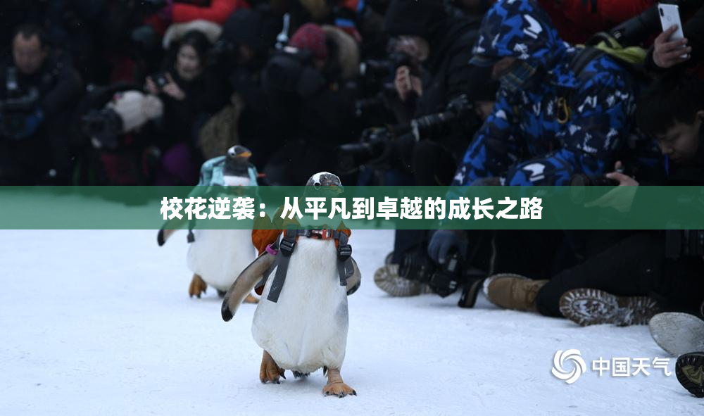 校花逆袭：从平凡到卓越的成长之路