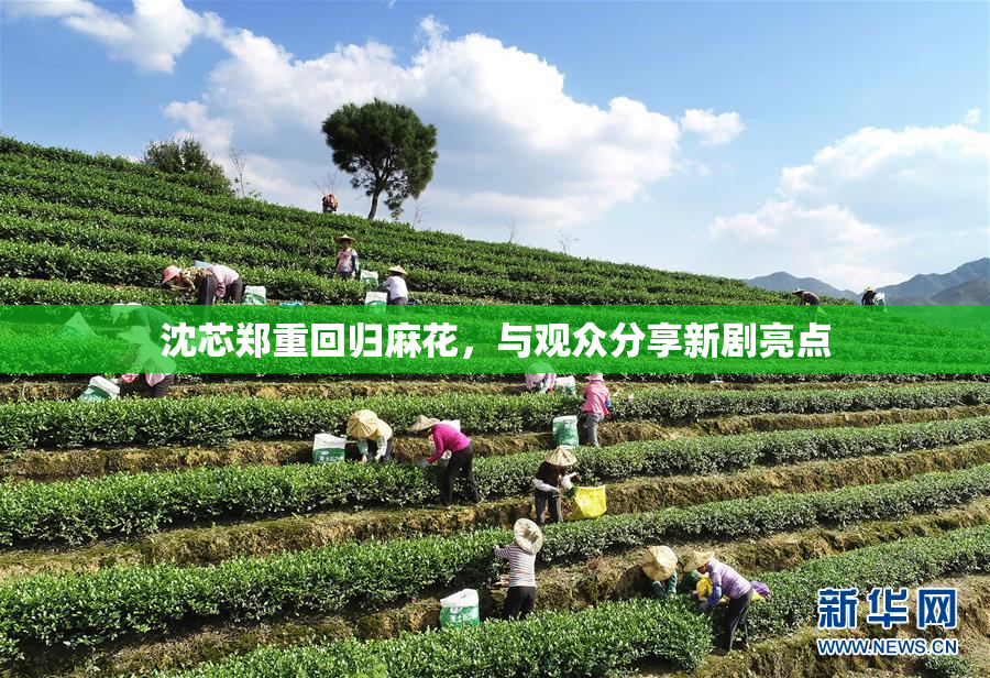 沈芯郑重回归麻花，与观众分享新剧亮点
