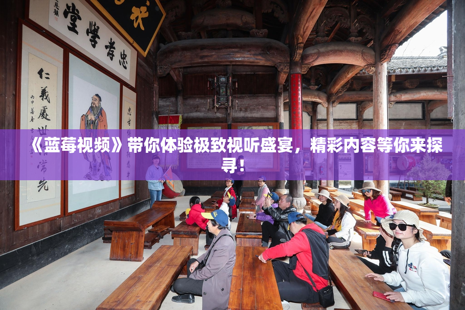 《蓝莓视频》带你体验极致视听盛宴，精彩内容等你来探寻！