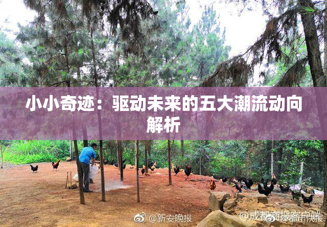 小小奇迹：驱动未来的五大潮流动向解析