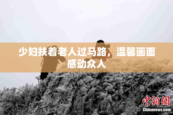 少妇扶着老人过马路，温馨画面感动众人