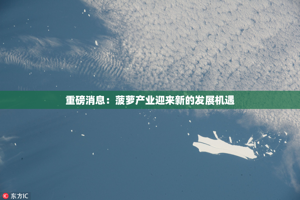 重磅消息：菠萝产业迎来新的发展机遇