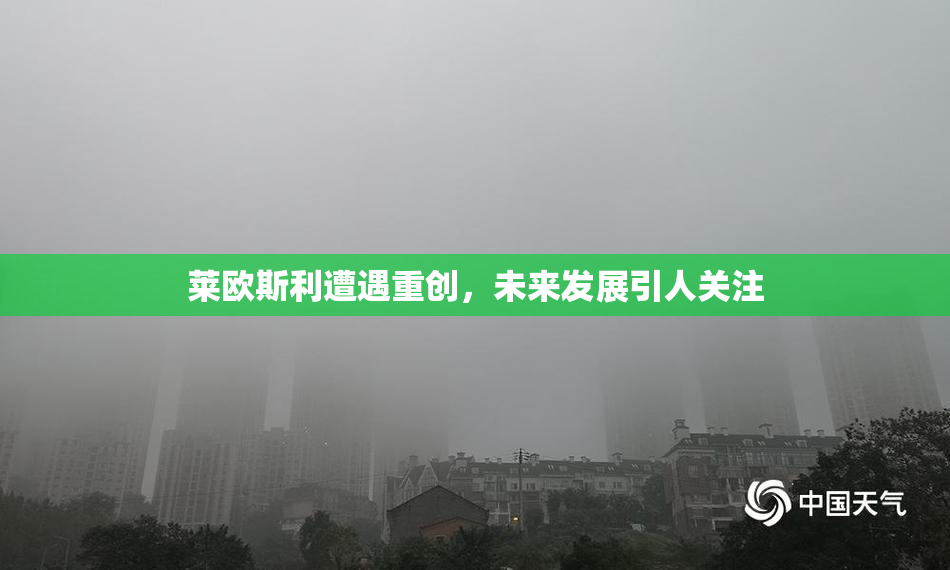 莱欧斯利遭遇重创，未来发展引人关注