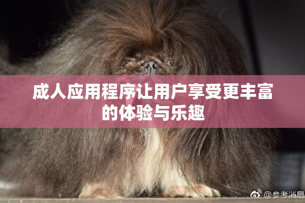 成人应用程序让用户享受更丰富的体验与乐趣