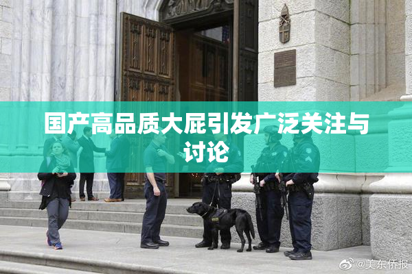 国产高品质大屁引发广泛关注与讨论