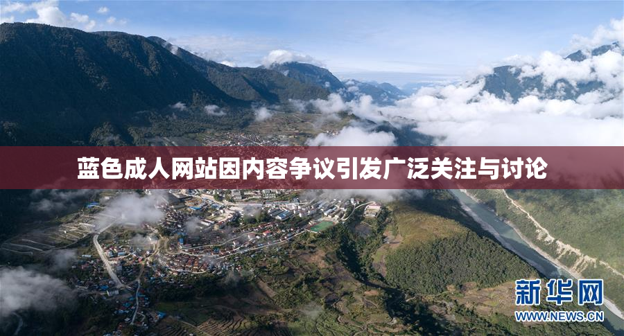 蓝色成人网站因内容争议引发广泛关注与讨论