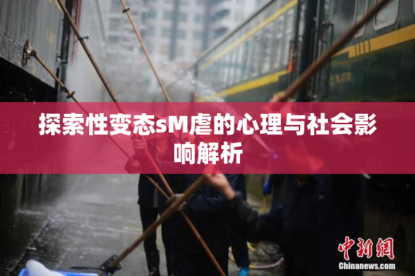 探索性变态sM虐的心理与社会影响解析