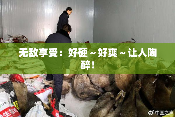 无敌享受：好硬～好爽～让人陶醉！