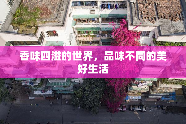 香味四溢的世界，品味不同的美好生活