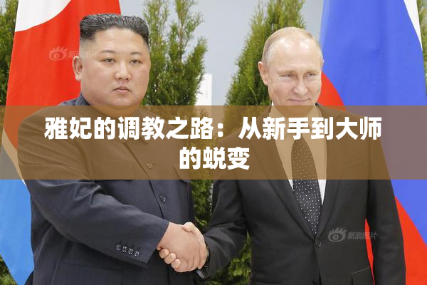 雅妃的调教之路：从新手到大师的蜕变