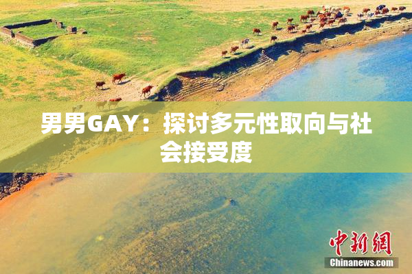 男男GAY：探讨多元性取向与社会接受度