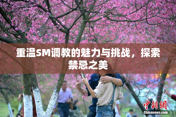 重温SM调教的魅力与挑战，探索禁忌之美