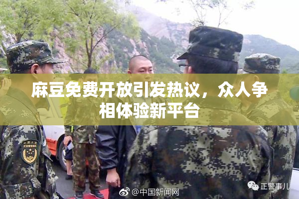 麻豆免费开放引发热议，众人争相体验新平台