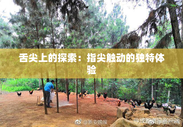 舌尖上的探索：指尖触动的独特体验