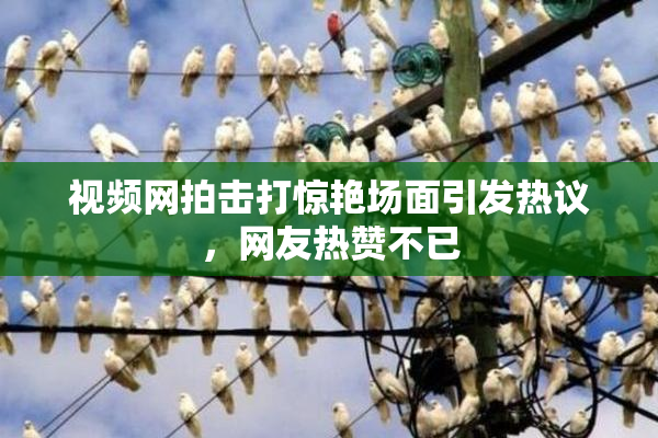 视频网拍击打惊艳场面引发热议，网友热赞不已