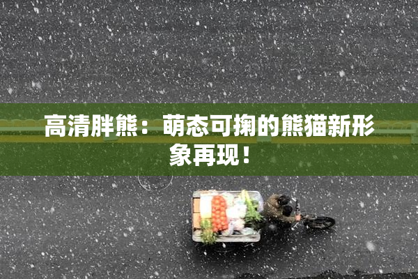 高清胖熊：萌态可掬的熊猫新形象再现！