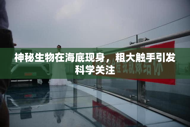 神秘生物在海底现身，粗大触手引发科学关注