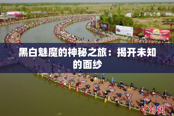 黑白魅魔的神秘之旅：揭开未知的面纱