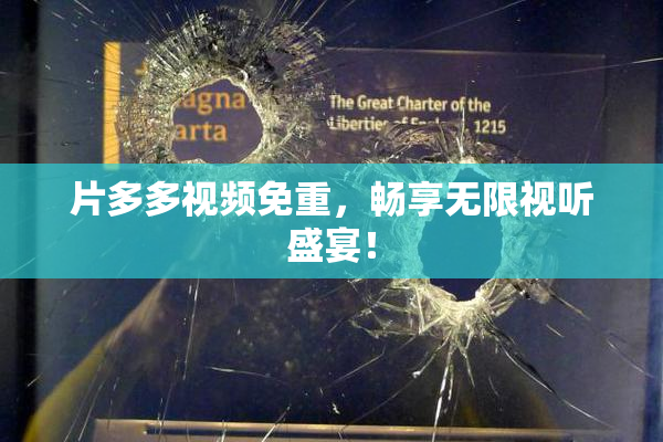 片多多视频免重，畅享无限视听盛宴！