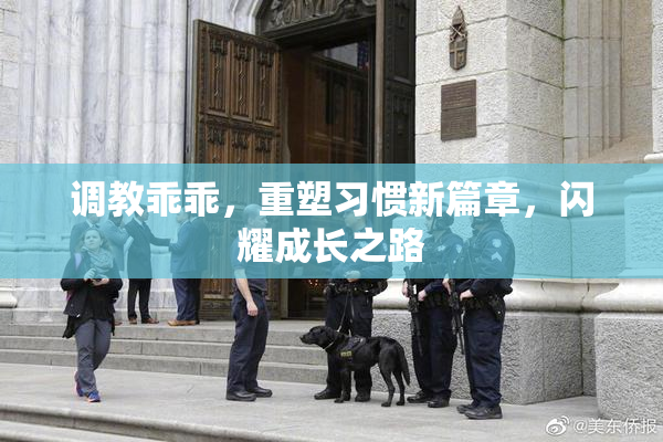 调教乖乖，重塑习惯新篇章，闪耀成长之路