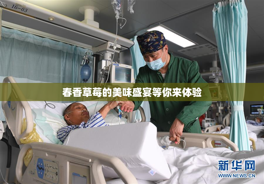 春香草莓的美味盛宴等你来体验