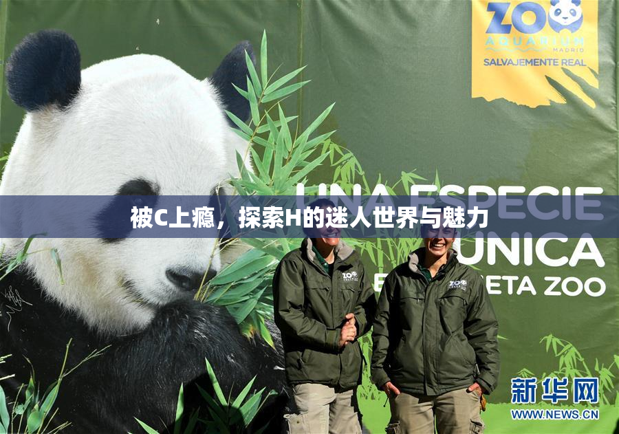 被C上瘾，探索H的迷人世界与魅力