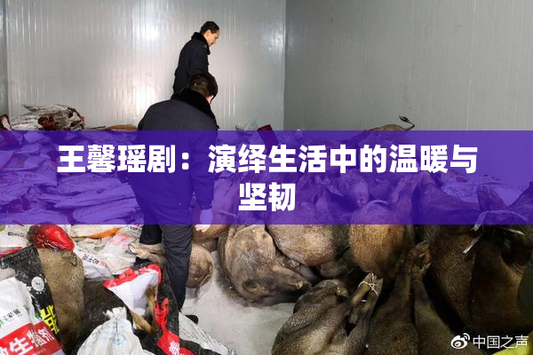 王馨瑶剧：演绎生活中的温暖与坚韧