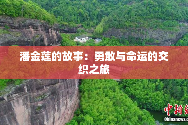潘金莲的故事：勇敢与命运的交织之旅