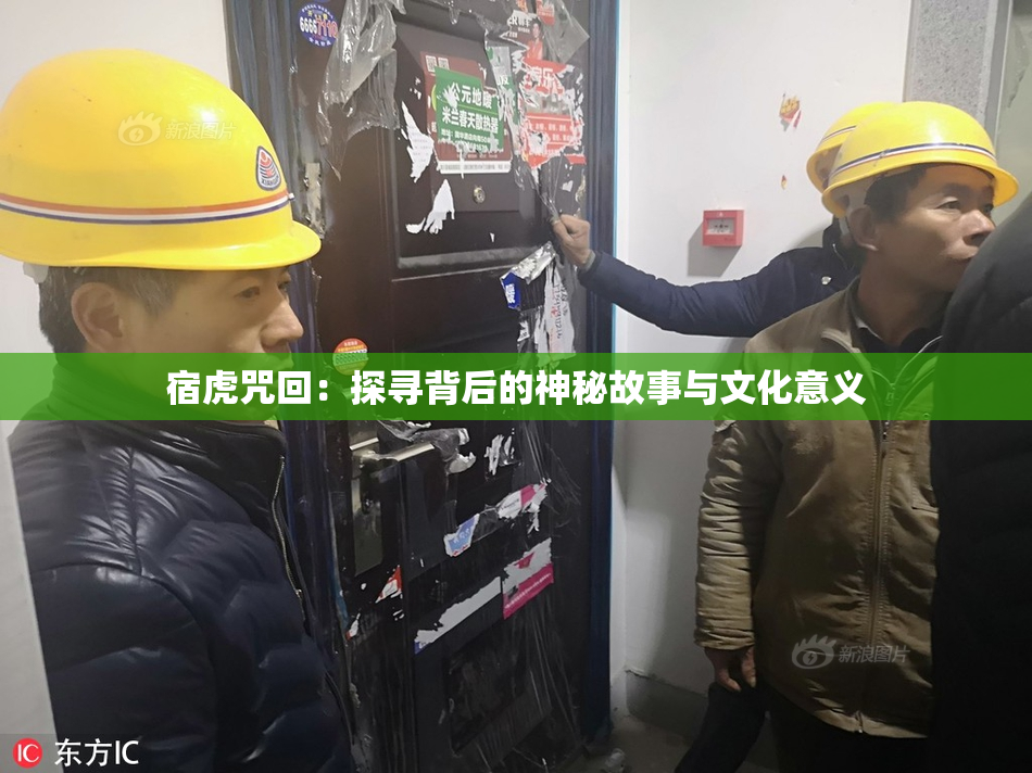 宿虎咒回：探寻背后的神秘故事与文化意义