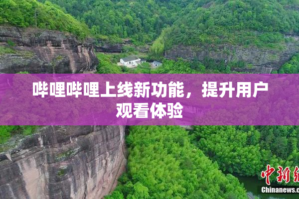 哔哩哔哩上线新功能，提升用户观看体验