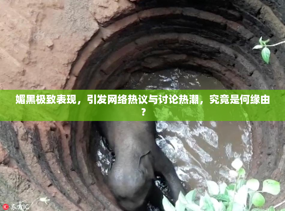 媚黑极致表现，引发网络热议与讨论热潮，究竟是何缘由？