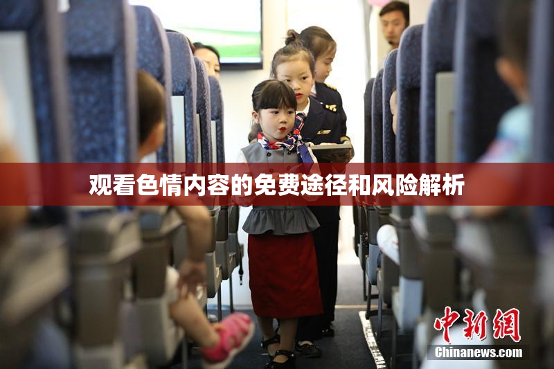 观看色情内容的免费途径和风险解析