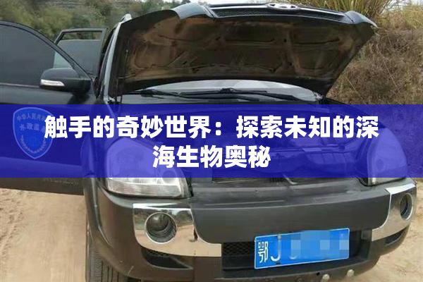 触手的奇妙世界：探索未知的深海生物奥秘